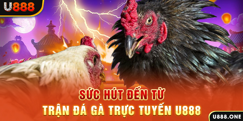77win1 đá gà trực tiếp c1