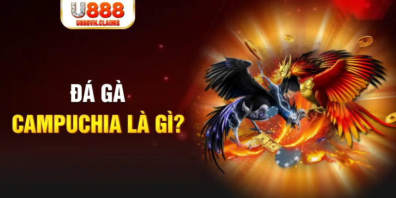 77win1 bắn cá vàng h5
