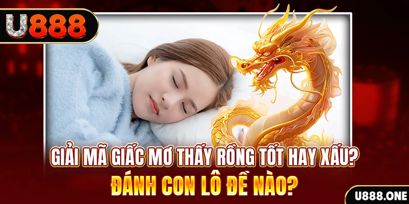 77win1 tt88 bắn cá nổ hũ