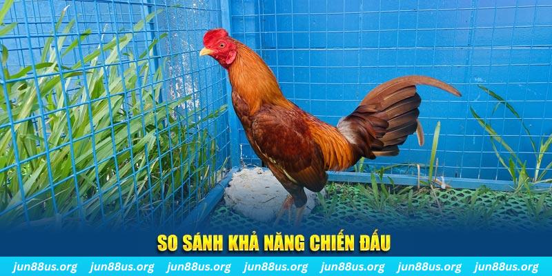 77win1 CQ9 Điện Tử