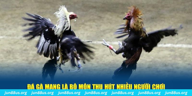 77win1 bắn cá au88