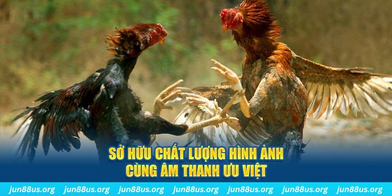 77win1 PP Điện Tử