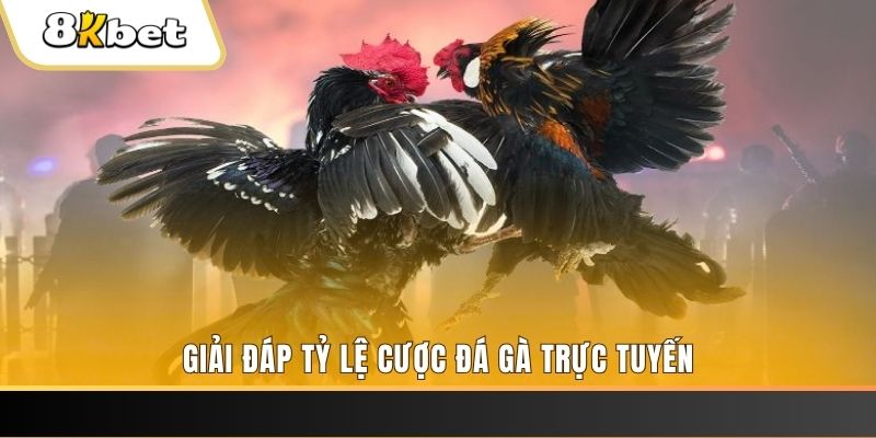 77win1 xổ số đài miền trung