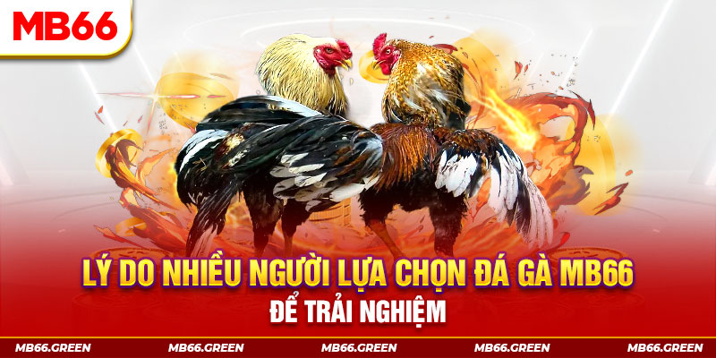 77win1 xổ số miền bắc thứ bảy hàng tuần
