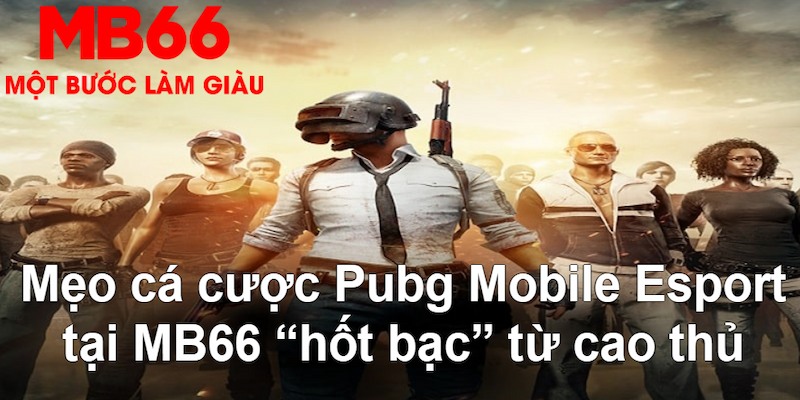 77win1 VA Bắn cá