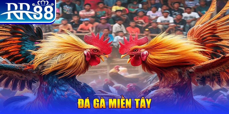 77win1 no hu doi thuong ai
