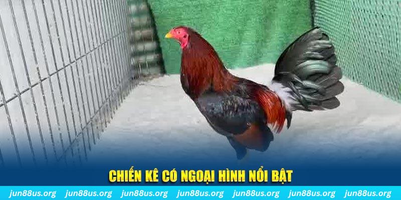 77win1 game nổ hũ là gì