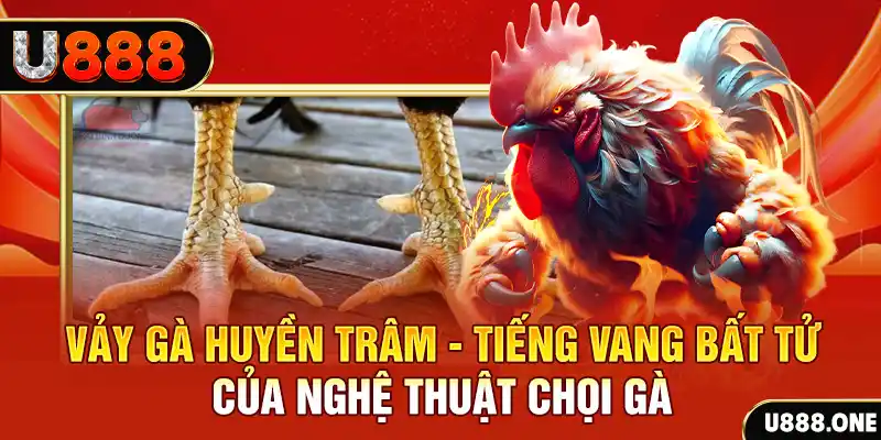 77win1 xổ số miền bắc ngày hôm nay