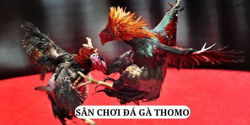 77win1 trực tiếp xổ số miền bắc